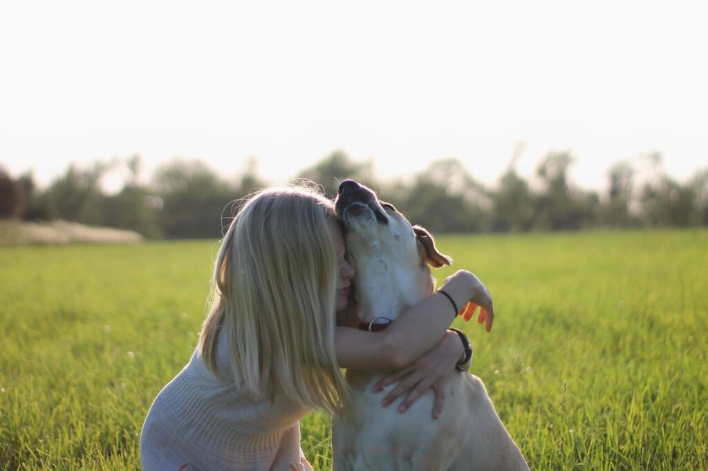 犬と女の子の愛